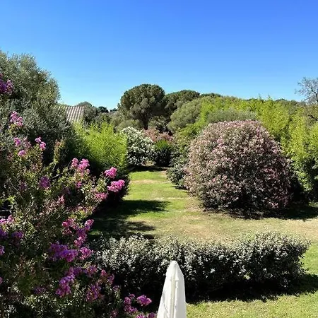 Apartment Les Amandiers 7 Porto-Vecchio (Corsica)